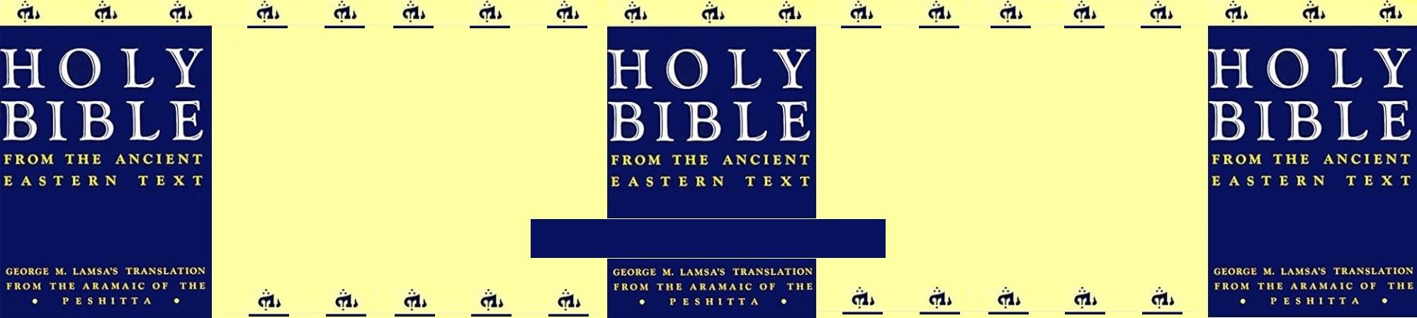 Cover of the Aramaic Bible with Peshitta symbols. Dark blue on soft yellow.