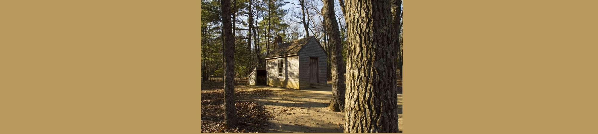 Thoreau's Cabin at Walden Pond