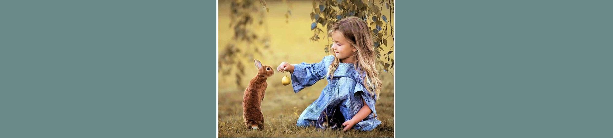 Child offering a rabbit food. 